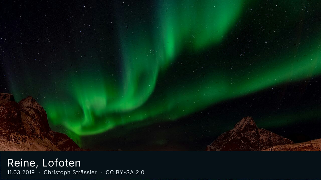 Reine